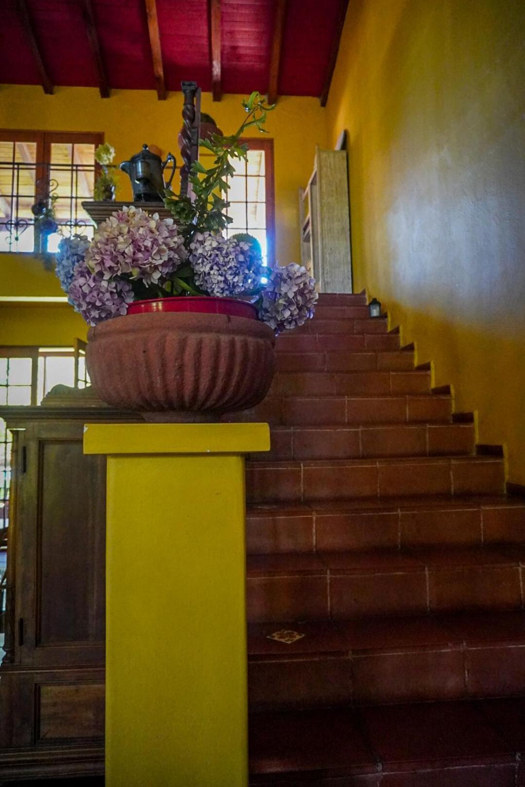 サンタ・クルス Entre Vinas Bed & Breakfast エクステリア 写真