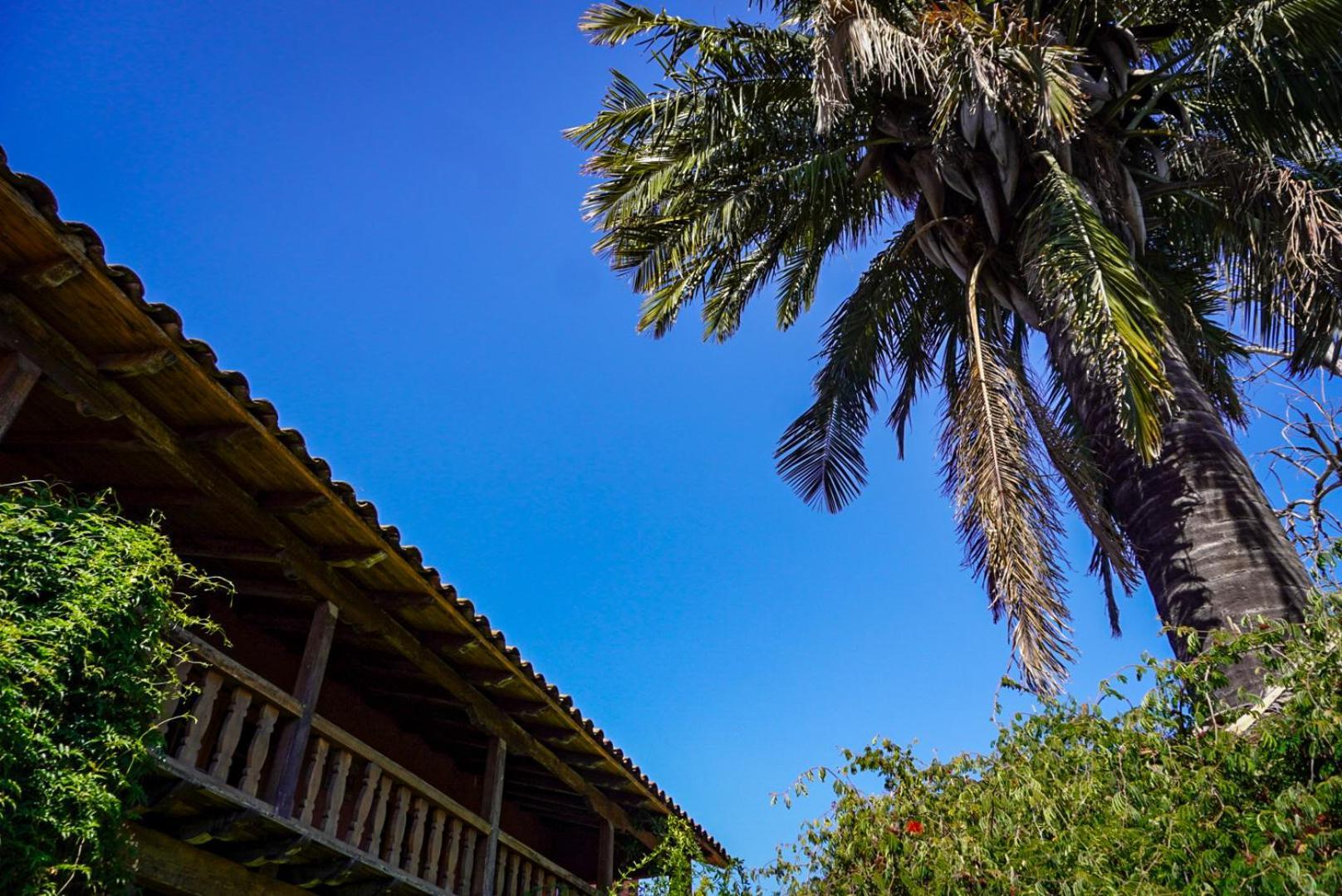 サンタ・クルス Entre Vinas Bed & Breakfast エクステリア 写真